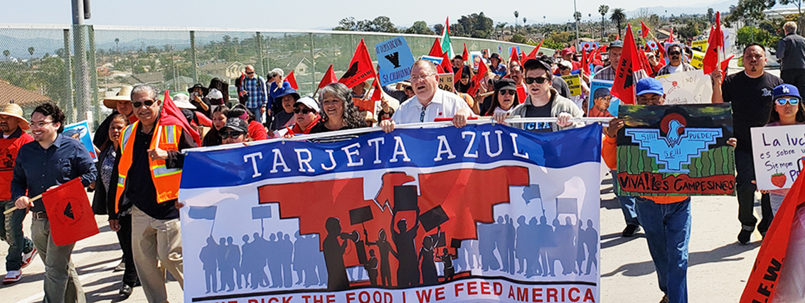 United Farm Workers Union History See More 